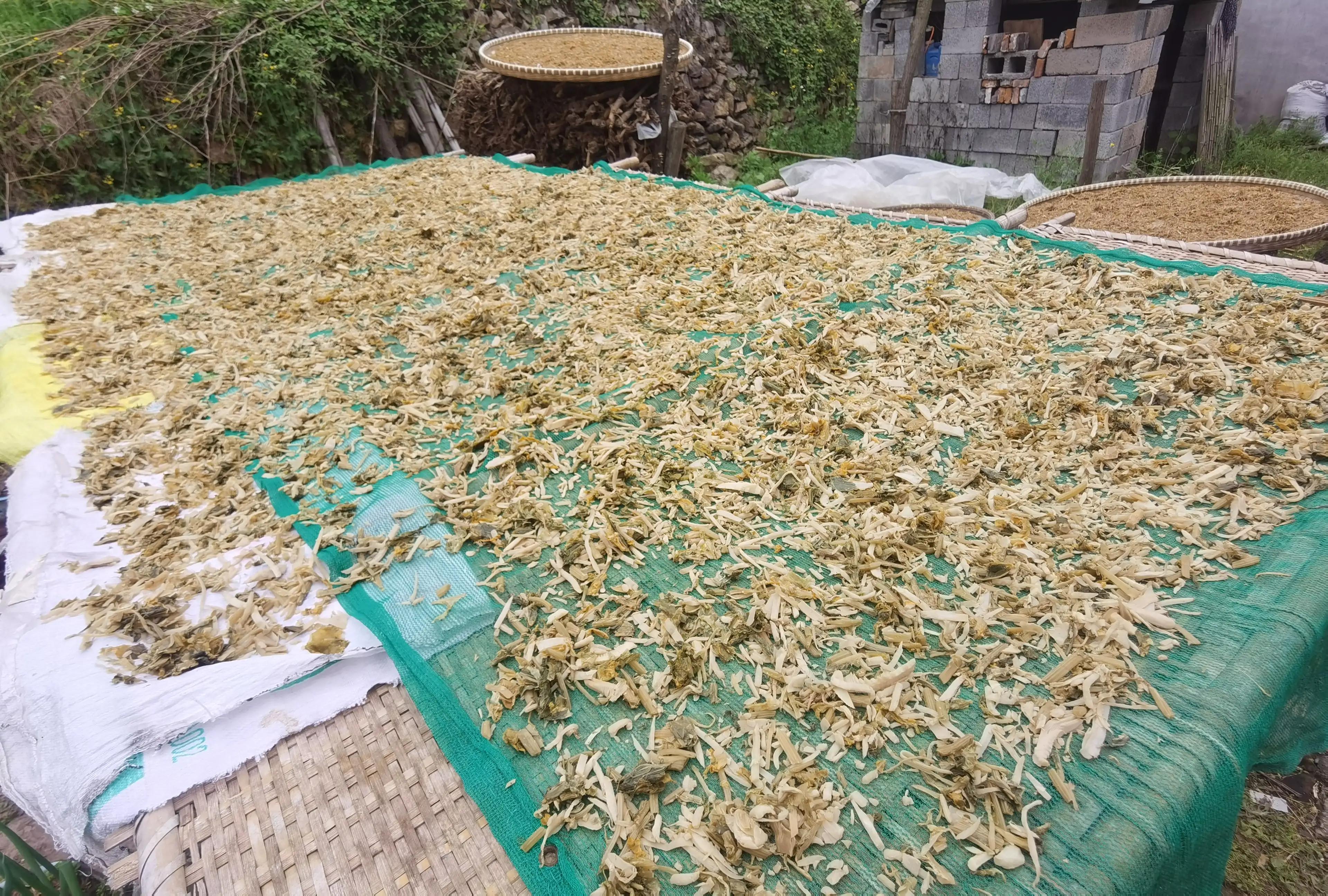 绍兴最好的笋丝梅干菜制作方法,浙江笋丝梅干菜的家常做法