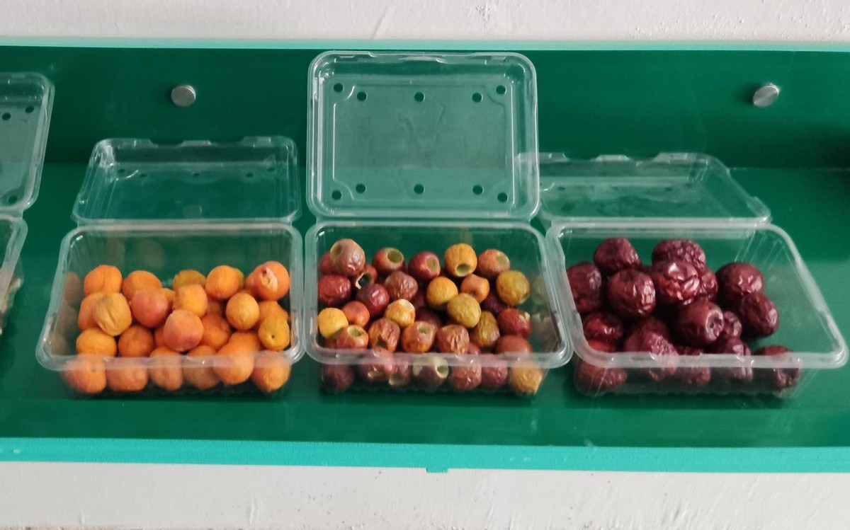 图木舒克种植冬枣利润,图木舒克市冬枣哪里有卖的