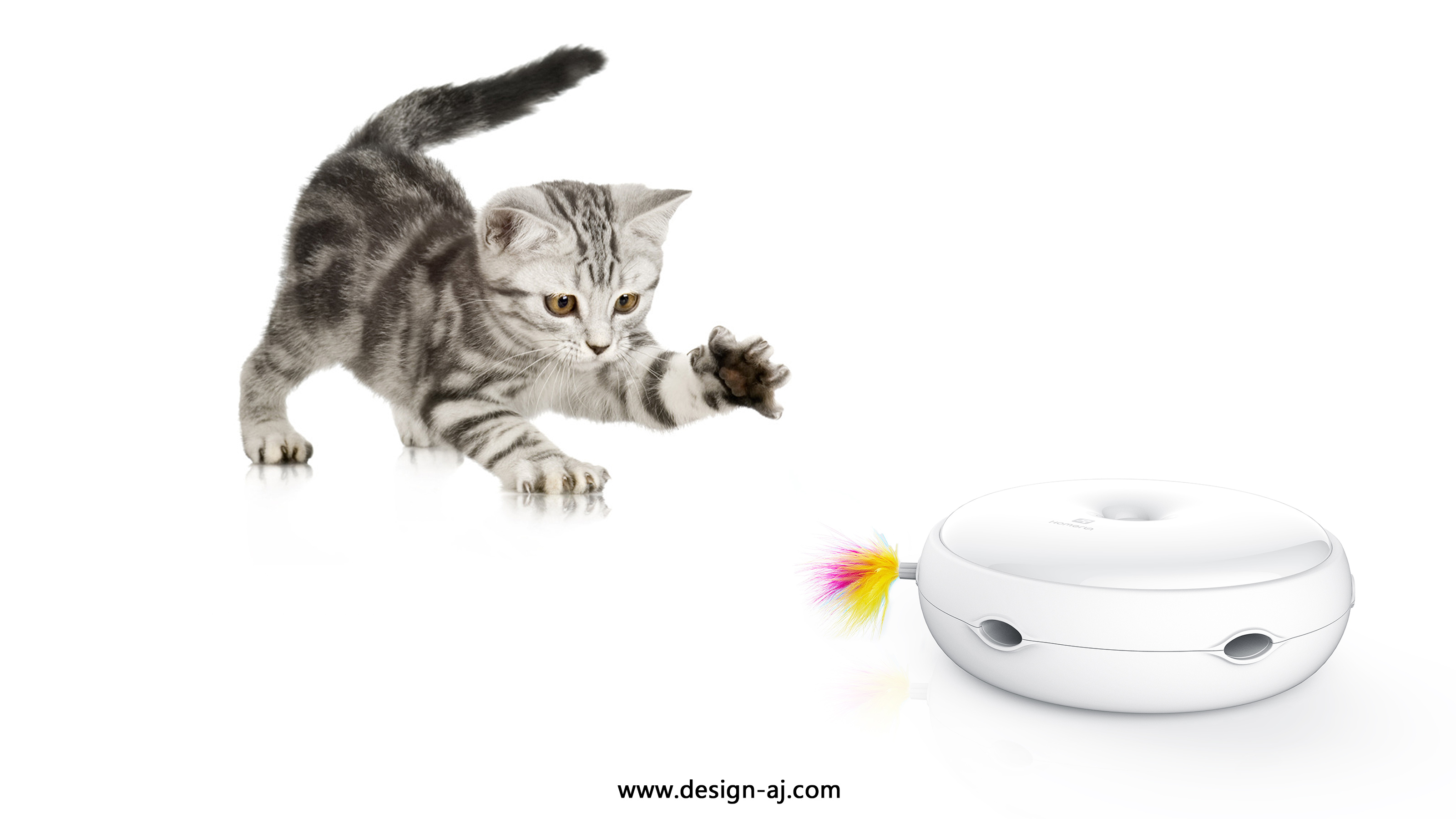 爱不释手，“为宠物而生”的五款宠物产品设计