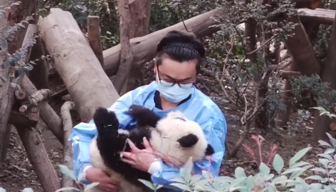 【津云夜读】玩转津城，200多项活动安排了｜“小七里海”，打造“水上奥特莱斯”｜明天，这些活动免费参加