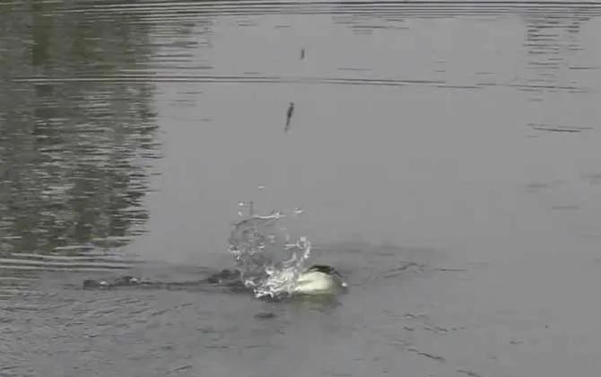 新手钓鱼入门基本功怎样绑子线,新手钓鱼入门基本功怎样绑浮标