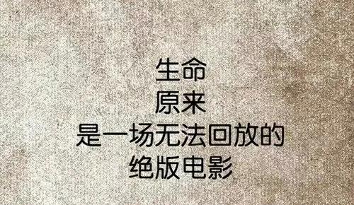 脚踏实地活在当下善待自己,脚踏实地活在当下作文