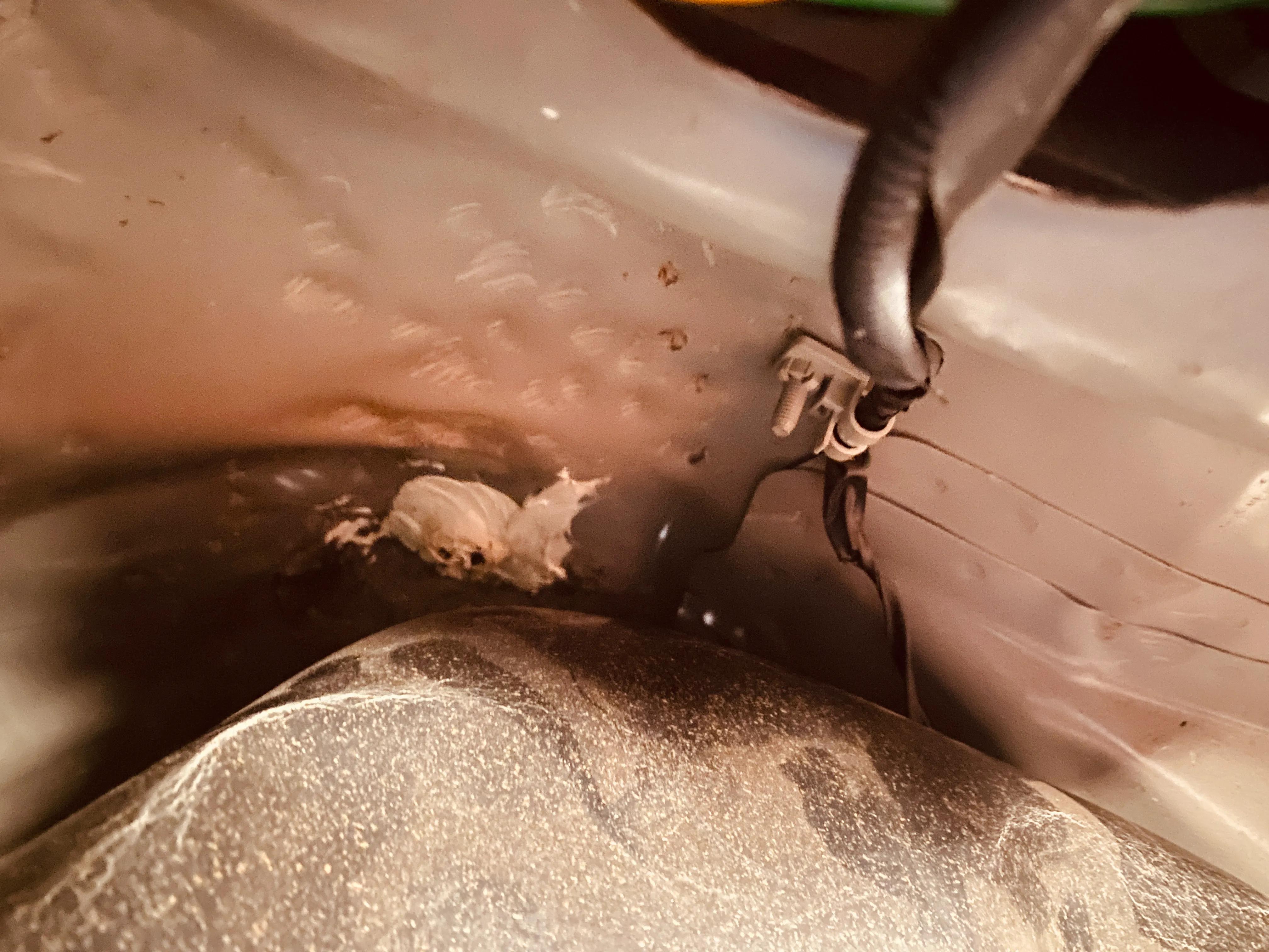 二手车检测培训,二手车检测鉴定