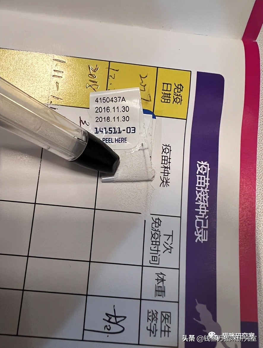 疫苗假针都有哪些,疫苗假针是真的吗