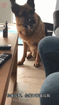 30万娶老婆搞笑视频,妻子输光200多万丈母娘退货