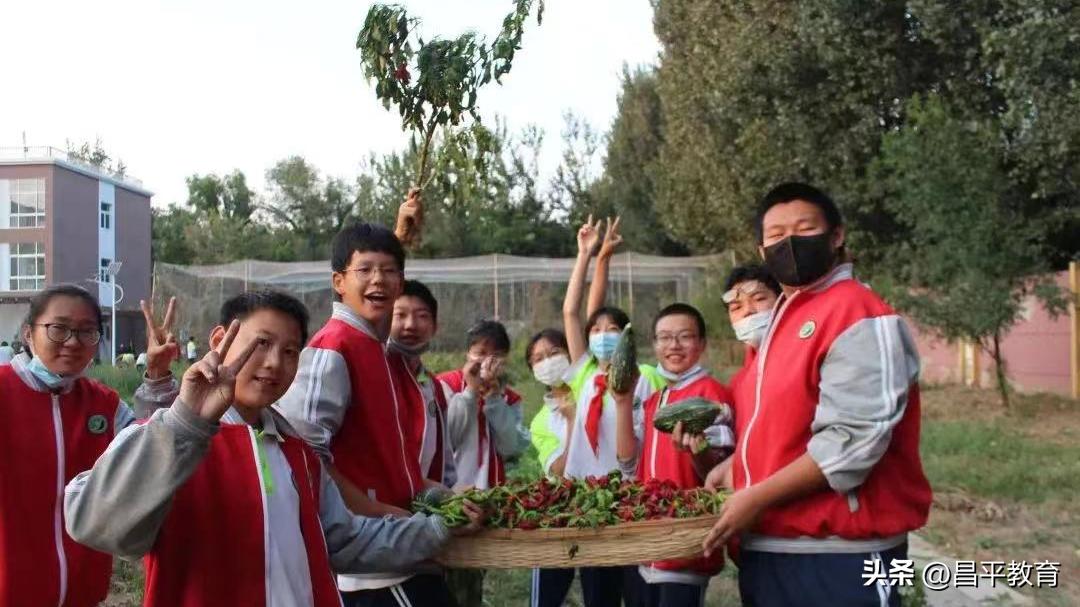 深入开展作风建设年重点任务图解,持之以恒推进作风建设走深走实