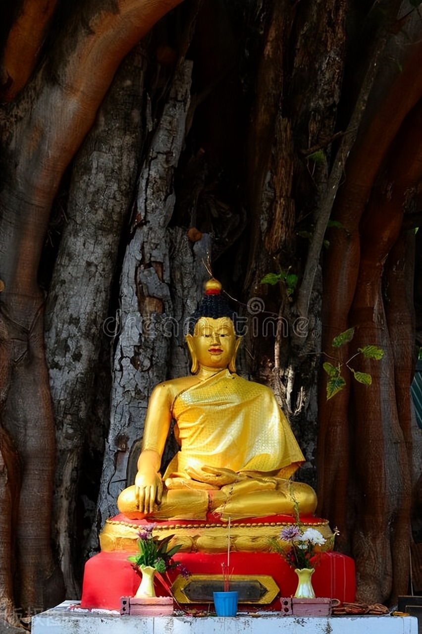 肯定是假的吧！泰国是全球最友善的国家，适合华人居住学习工作