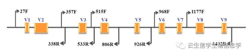 什么叫16srna测序,16srna测序和16sdna测序的区别