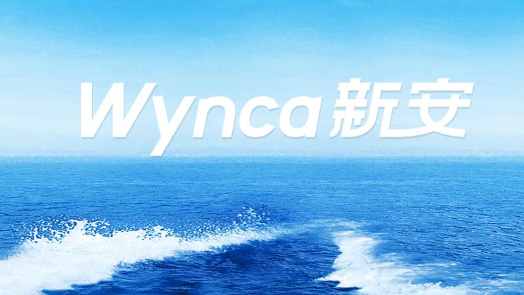 新安股份下跌原因,新安股份后市分析