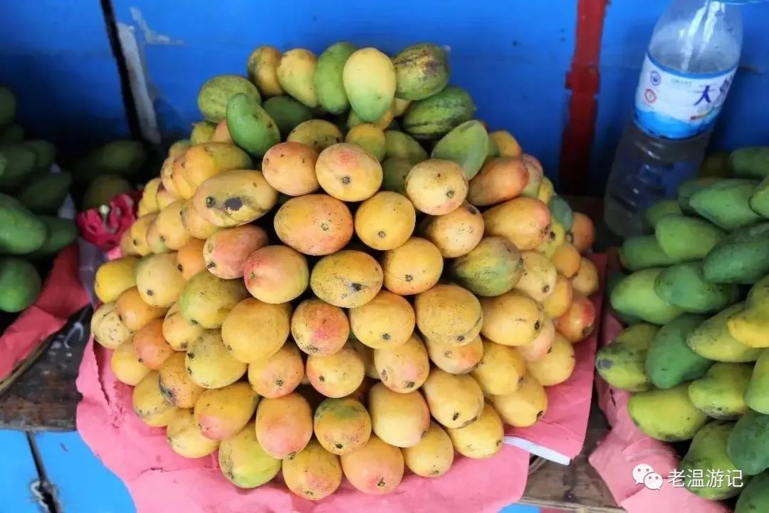 西双版纳老挝泰国旅游,老挝版纳之行