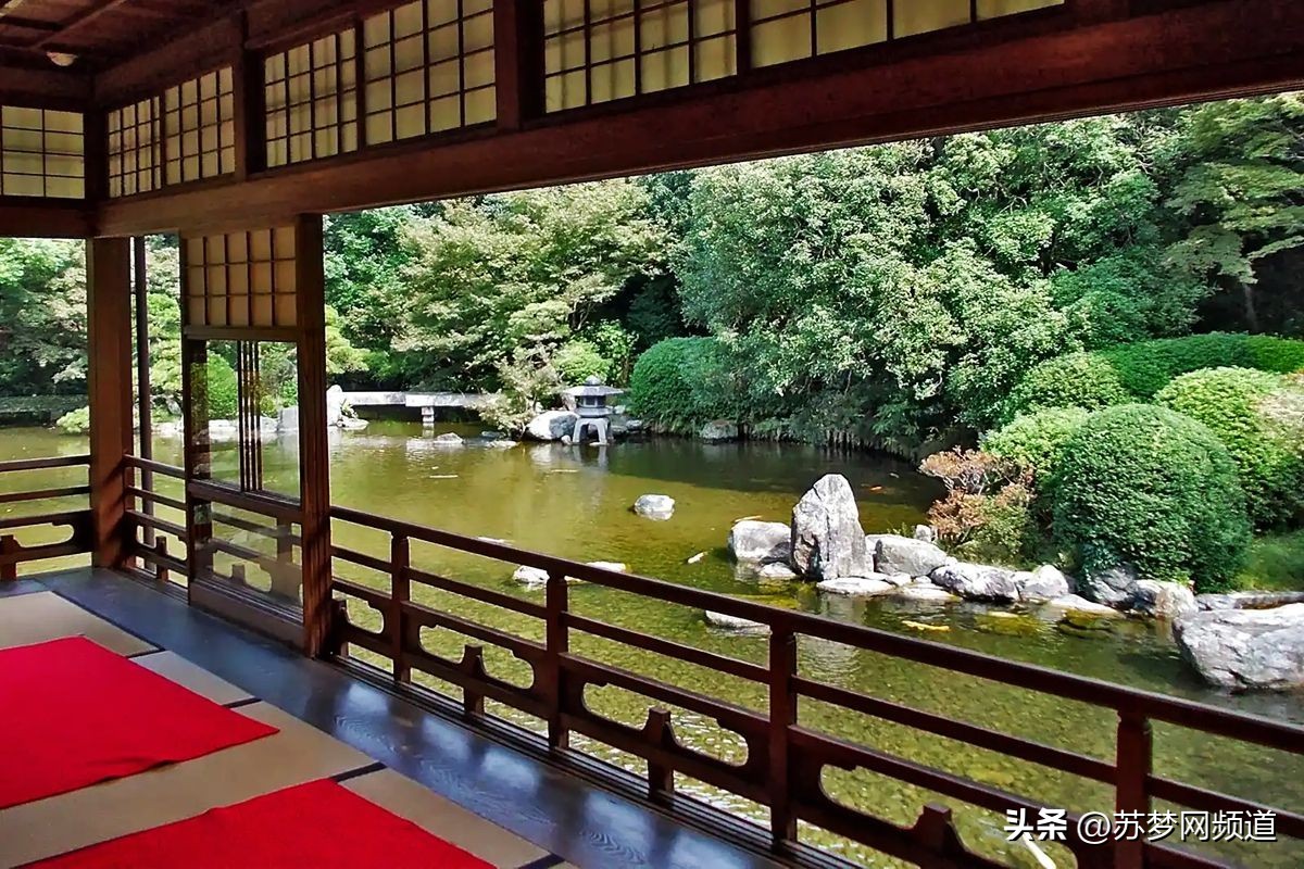 绂忓唸kota,绂忓唸zumba