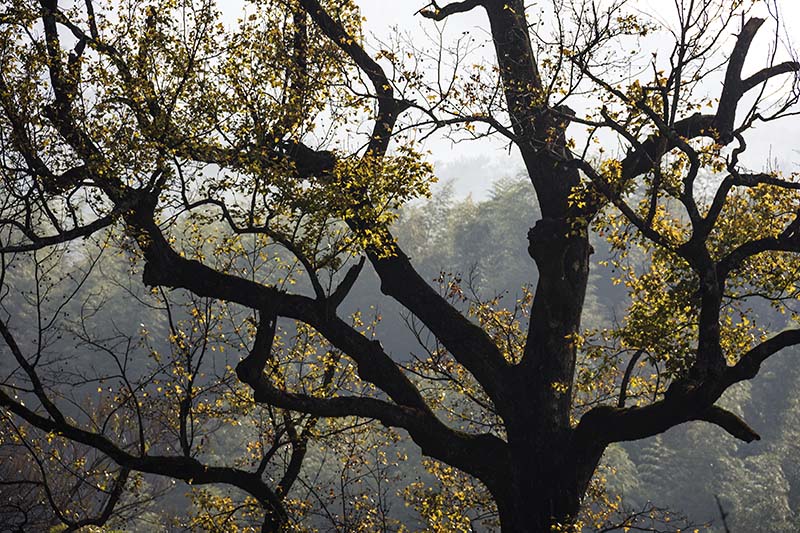 黄山市到皖南川藏线自驾游攻略,黄山市到徽州古城旅游攻略路线图