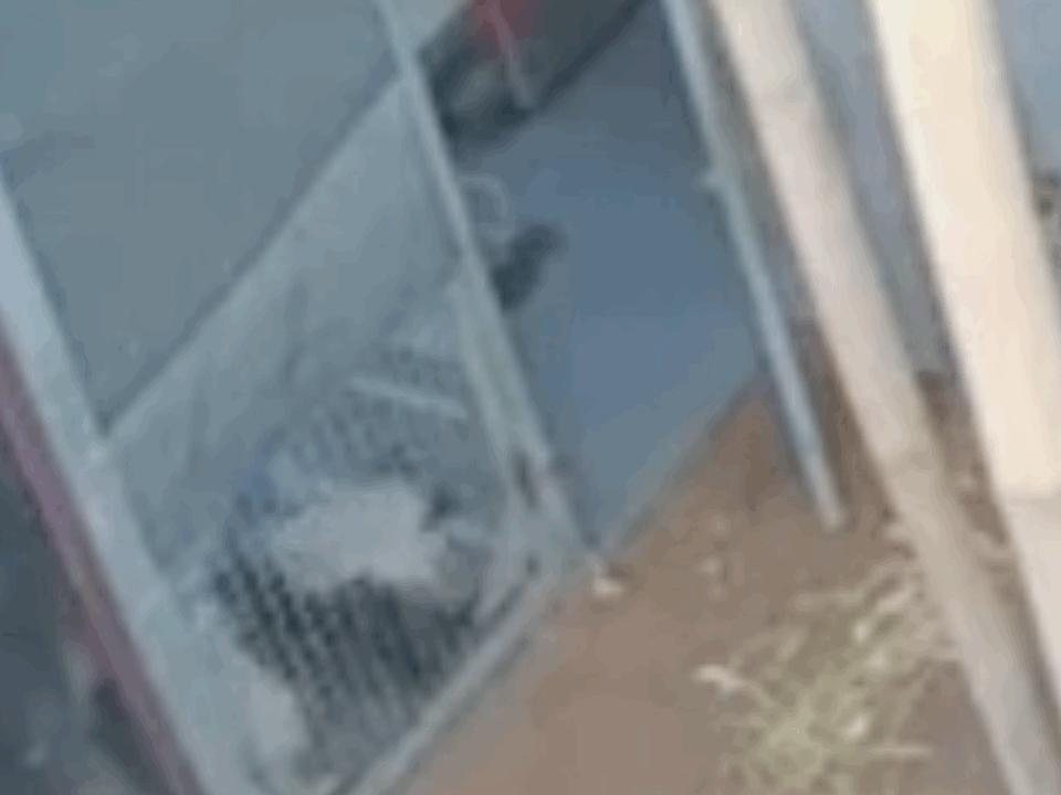 多少人关注丫丫,现在有多少人在关注丫丫