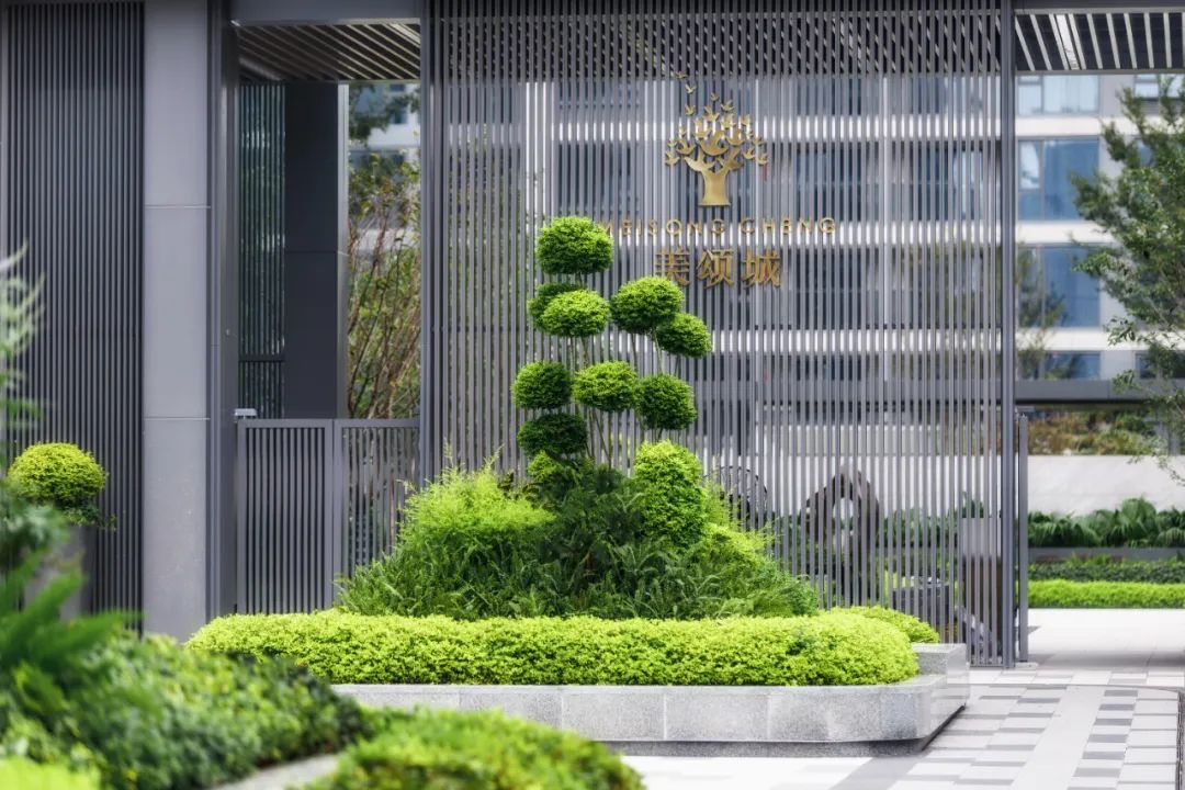 明天交付！现场实探来了，一场颜值与实力的双兑现！