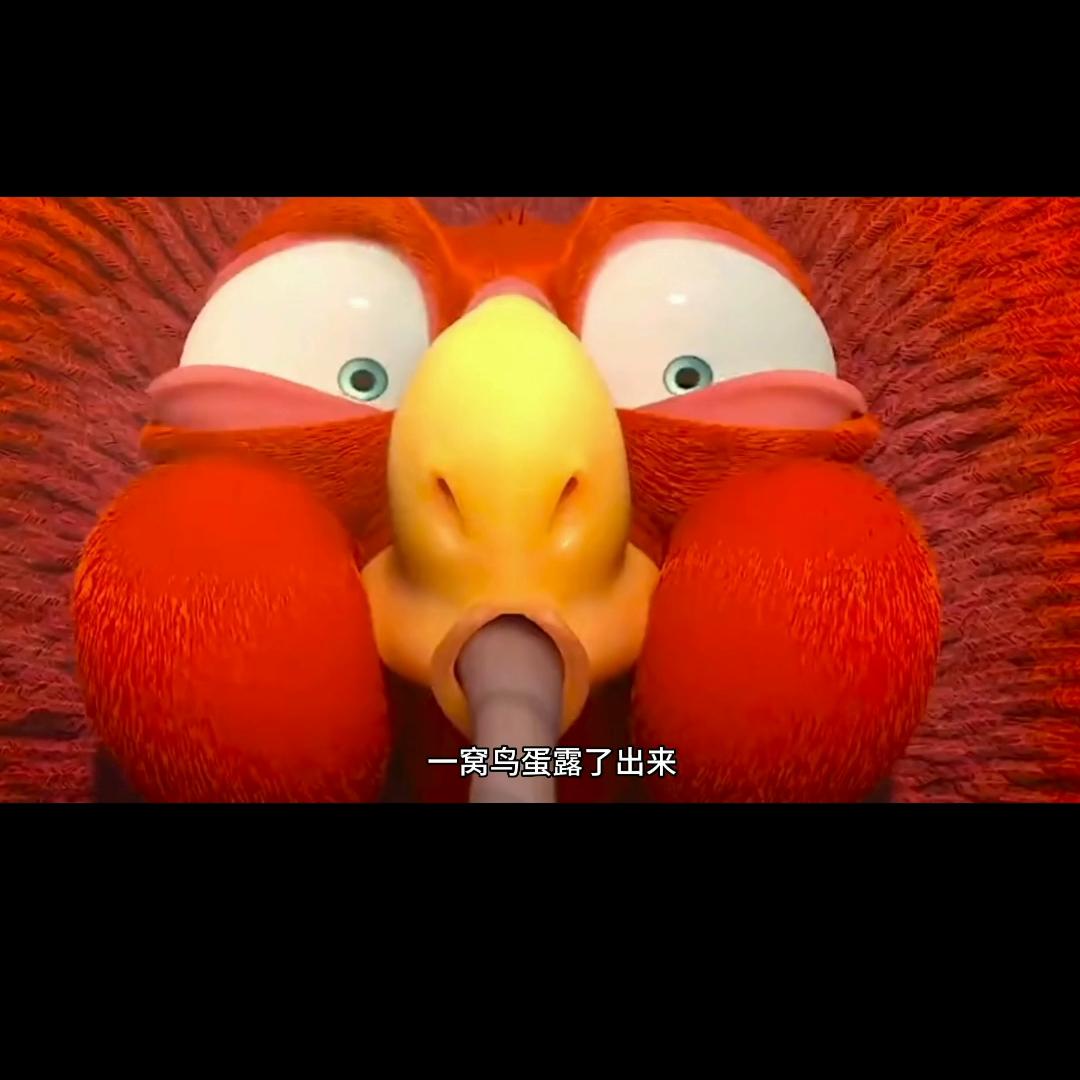 鸵鸟拼命保护一颗蛋,一只傻鸟保护蛋动画