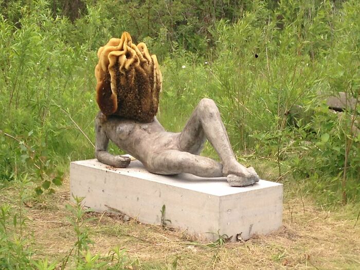 青蛙吞食毒蜘蛛,青蛙吃蜘蛛会不会被毒死