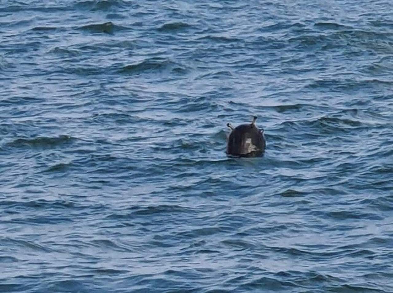 斯里兰卡的危机要如何解决,斯里兰卡现在走出危机了吗