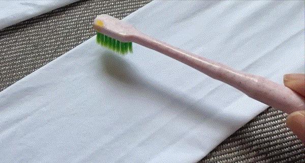 家有女鹅,家有女鹅图片大全