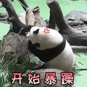 35岁以上好用的抗老抗皱紧致面霜,好用的抗老保湿面霜推荐