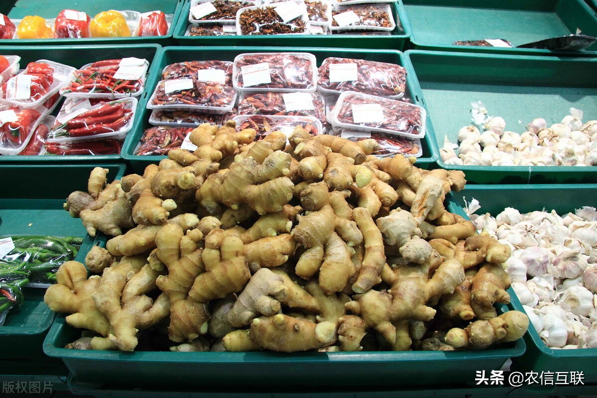 今日玉米行情山东,山东玉米今日行情大盘走势