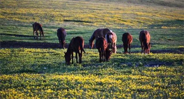 原来*疆新**这么大？终于知道为啥不包邮了...