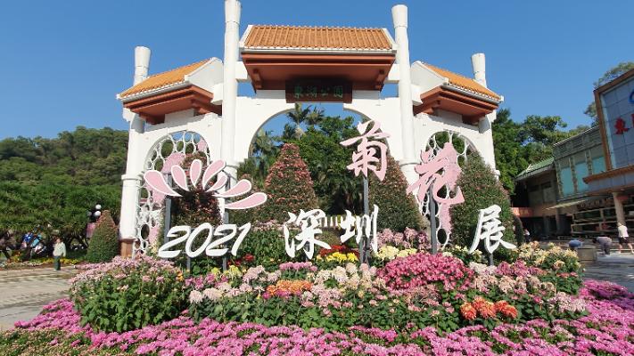 深圳值得去的70个公园你去过几个,深圳最值得去的七大主题公园