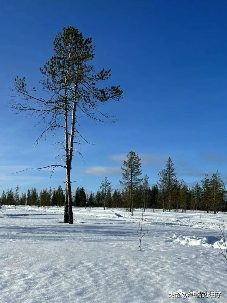 7部让你想走就走的旅行电影,吐血推荐8部关于旅行的电影
