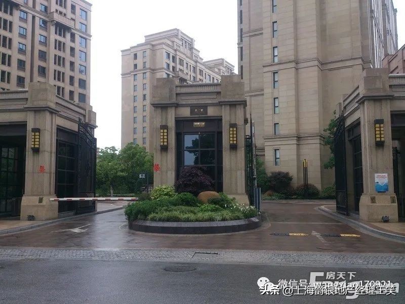 大华高端住宅系列,大华高端住宅