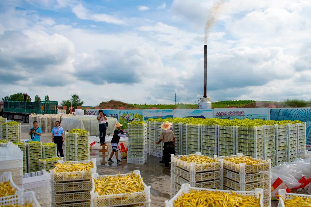 迎接党的20大美术作品,喜迎二十大乡村摄影展