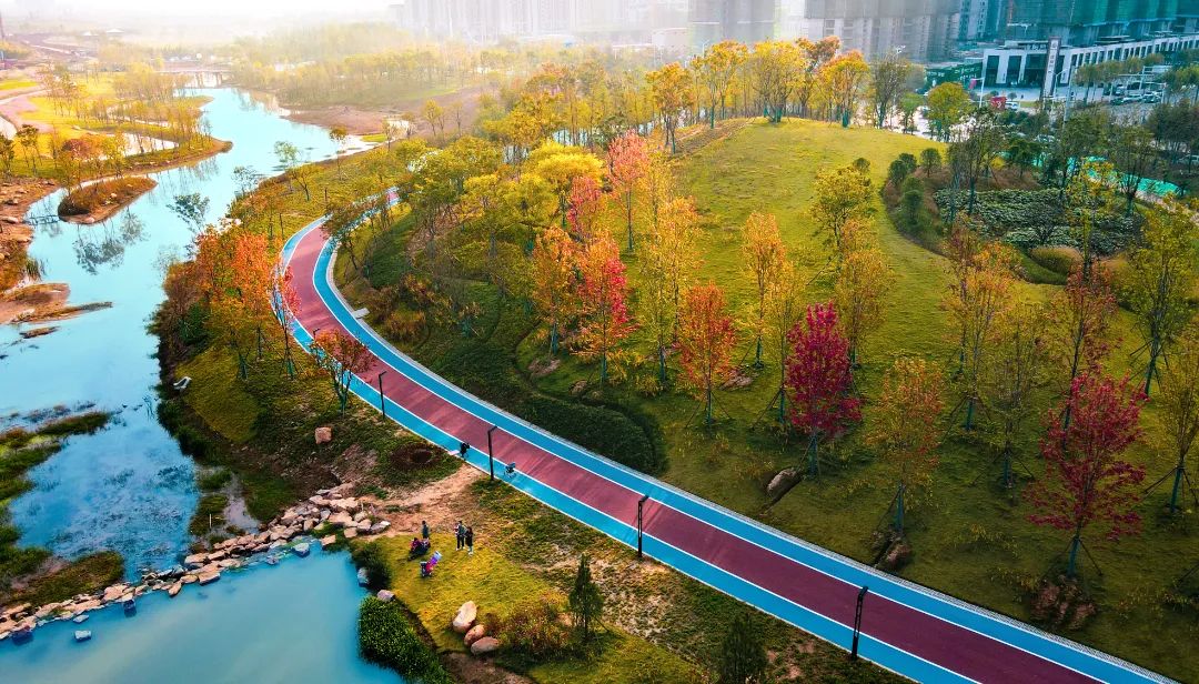 一座“追光”之城背后的软实力