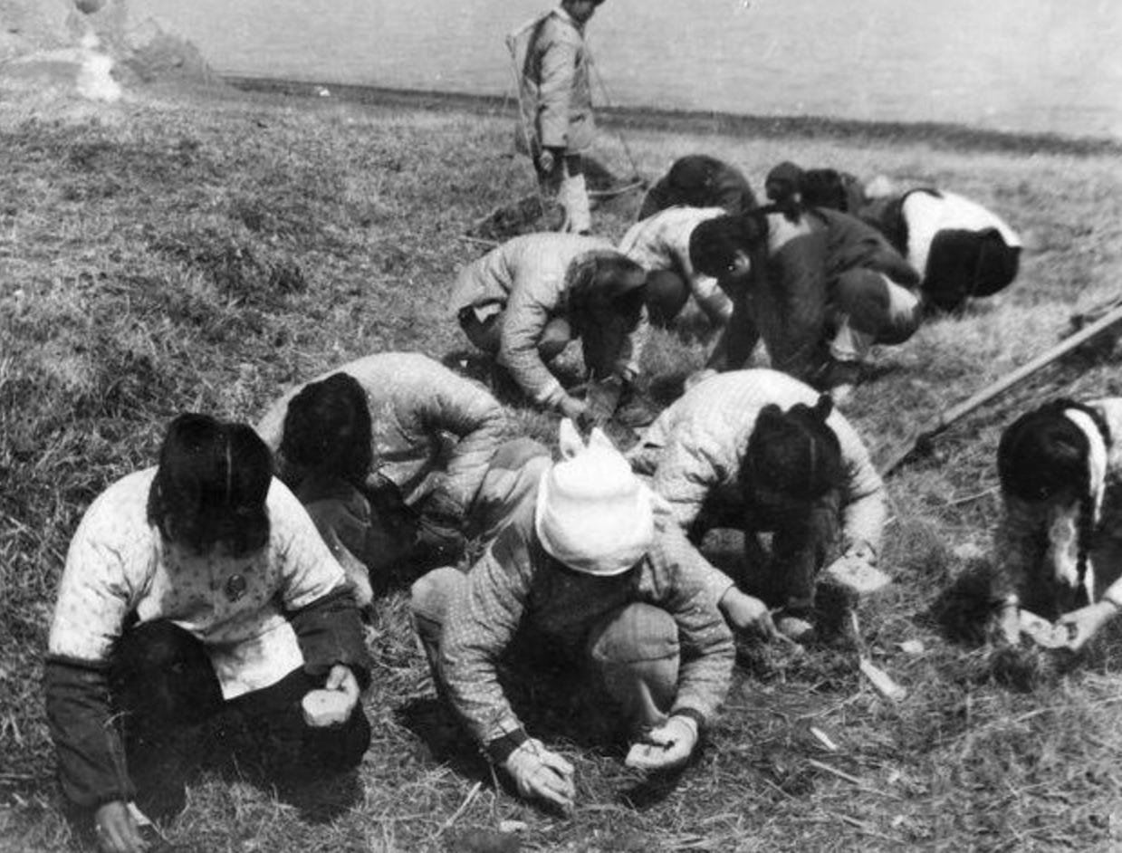 “蛊”究竟是什么？1958年我国蛊病泛滥成灾，毛主席亲自部署