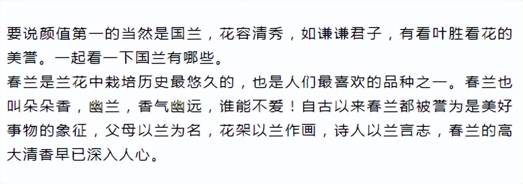 新手盆栽兰花最好选择哪些品种,室内养什么兰花品种及图片大全