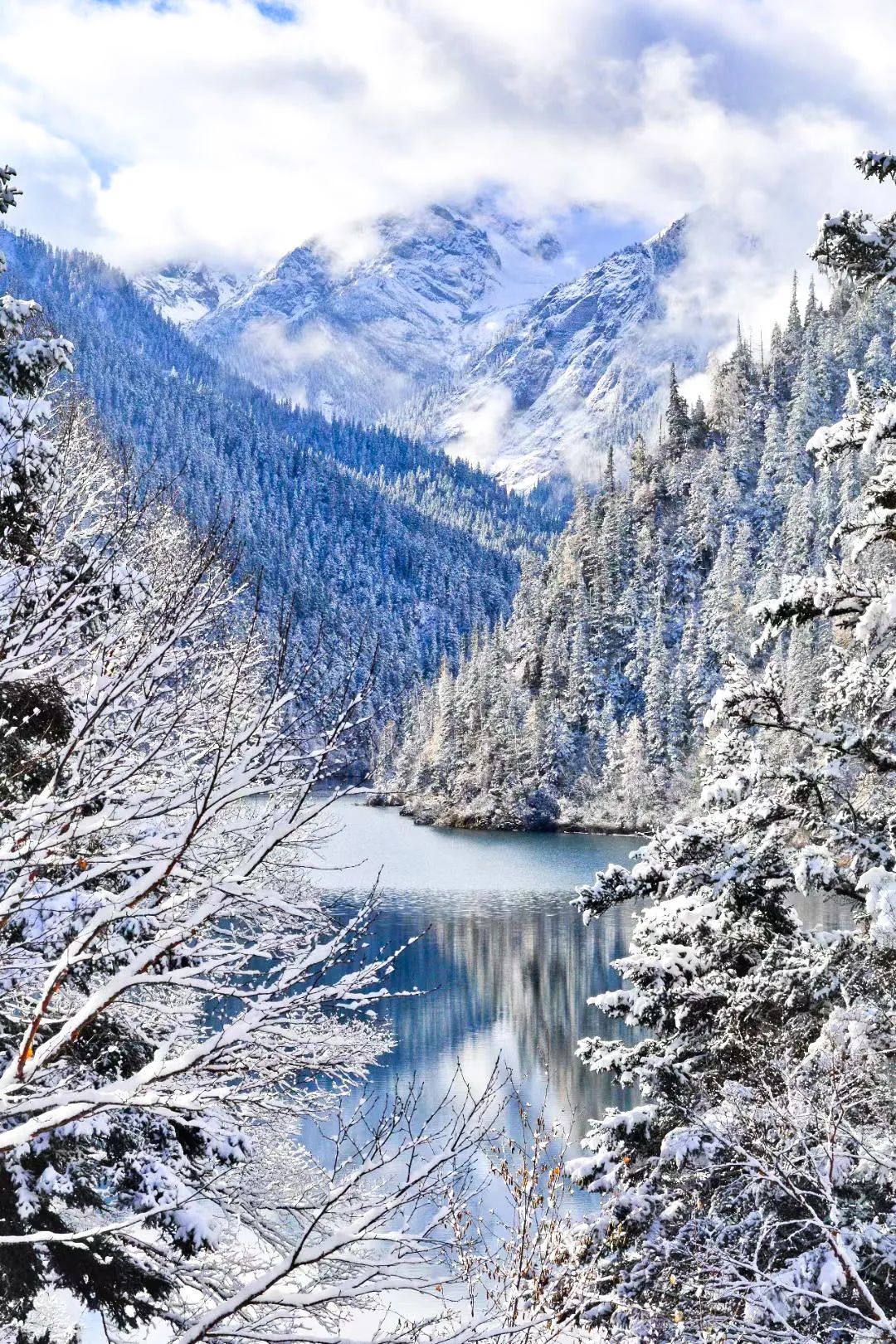 不到3000玩7天！“全网呼声最高”的冬日游天花板，非它莫属！