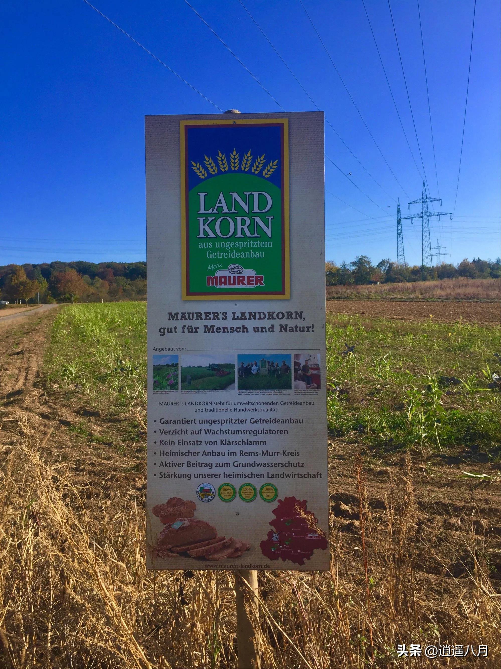 记录在德国的日子,德国周末狂欢