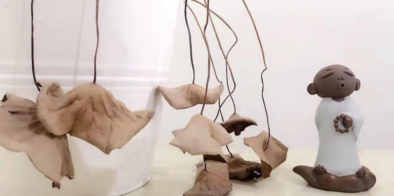 碗中种莲，年复一年花开花落到叶枯