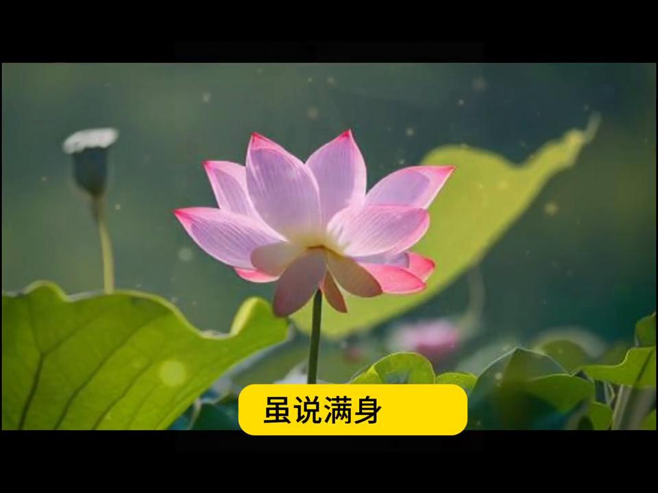 童子命是不是很天真,你们相信命劫吗