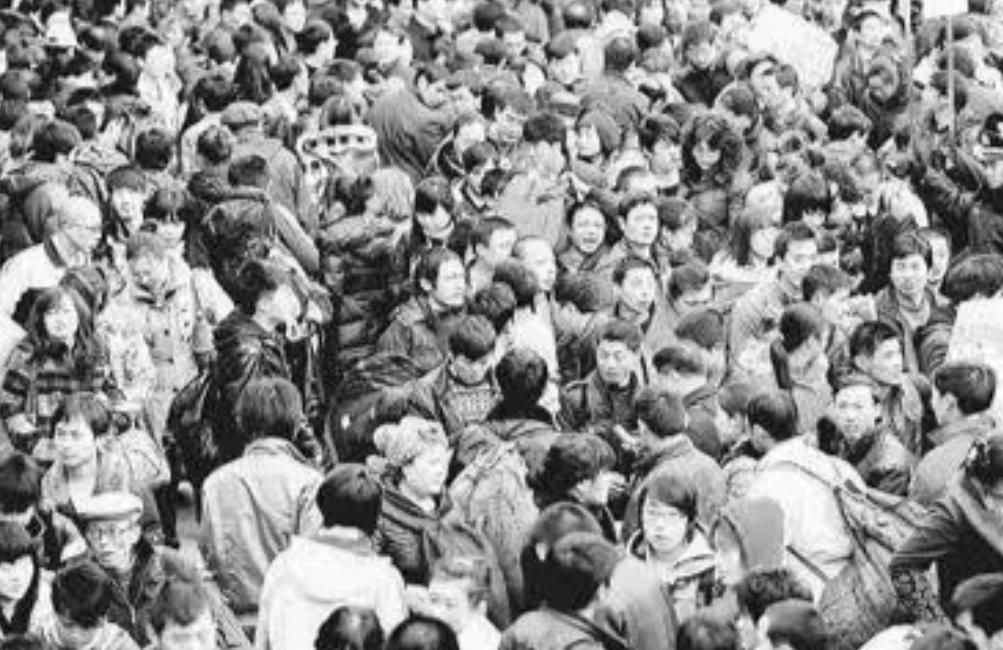 美国8只白鼠进入乐园,美国将8只白鼠放进乐园