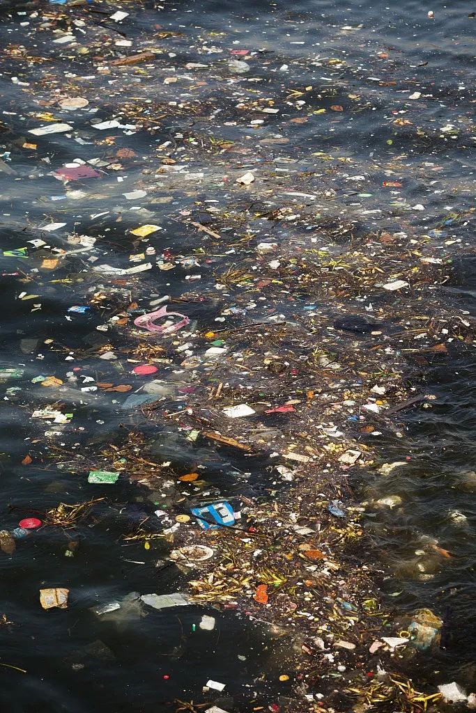 这个“垃圾大国”，真是让我开眼了