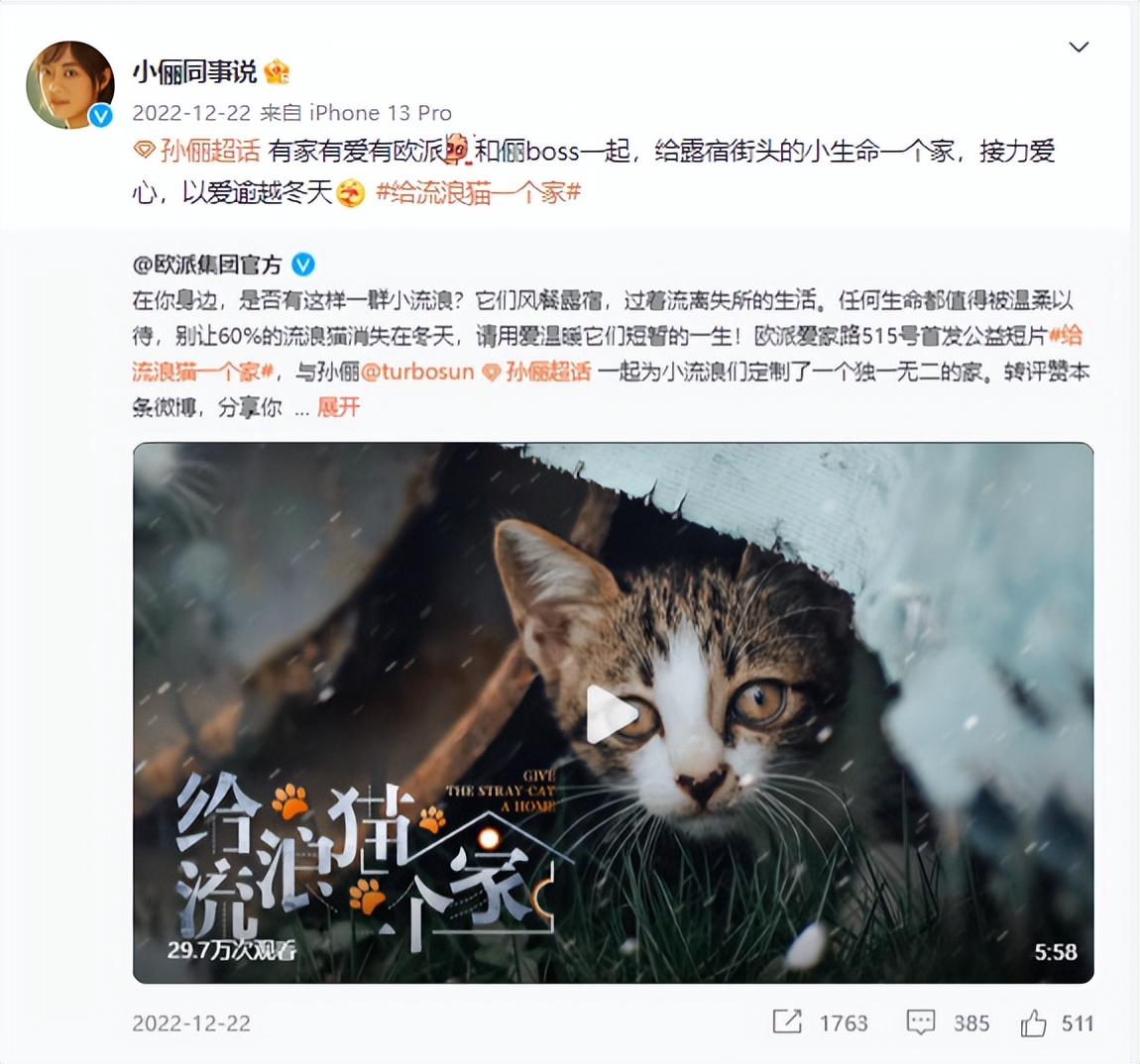 为爱定制一个家,为流浪猫爱心筹款