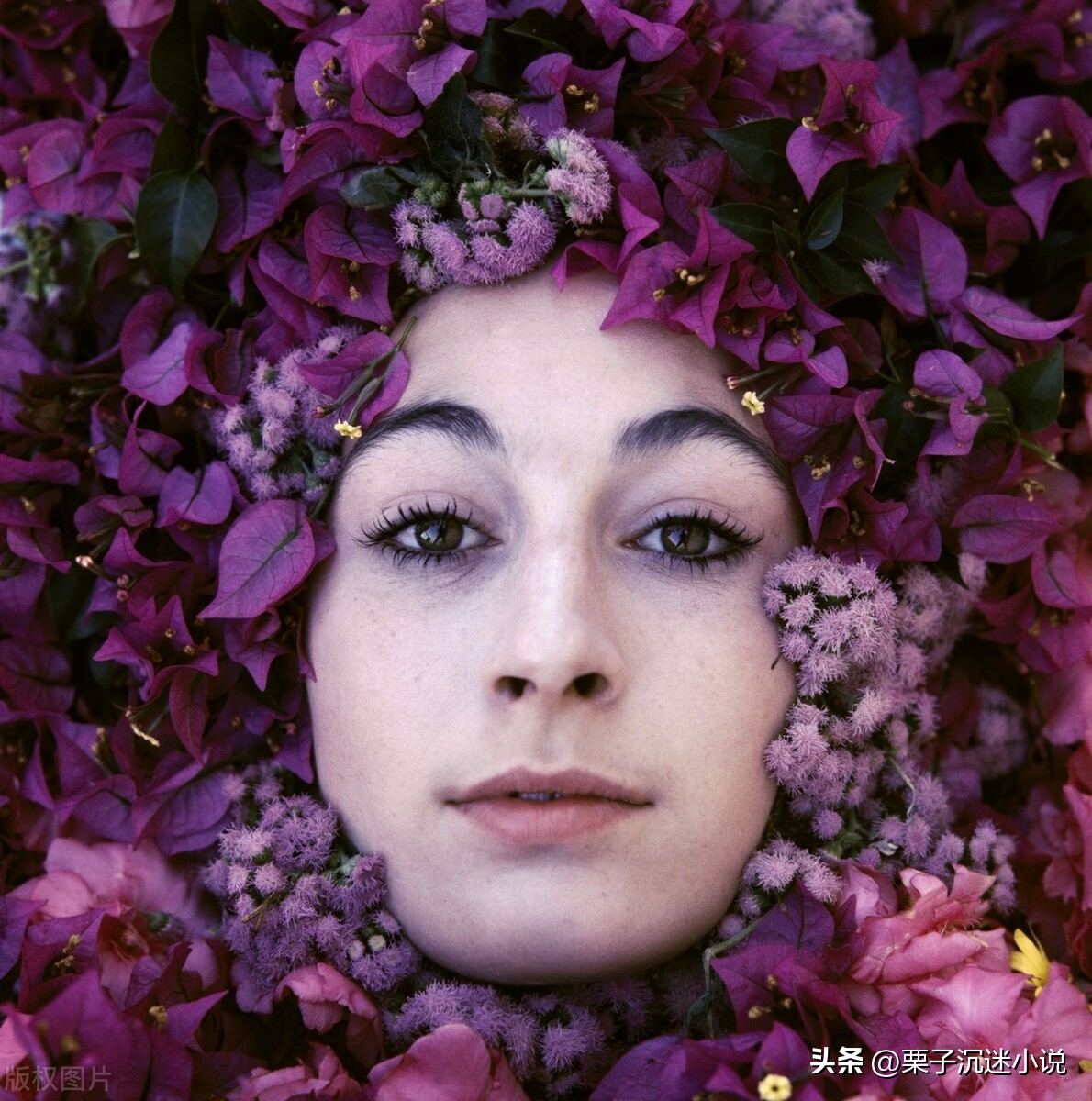 三部重磅高分精彩穿越重生小说,推荐几部评分最高的穿越重生小说