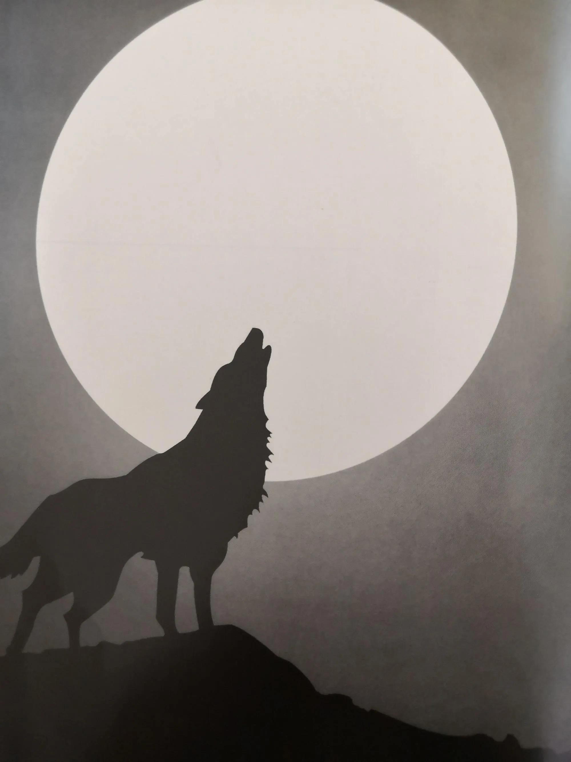 狼图腾作者姜戍,狼图腾姜绒谁讲的好