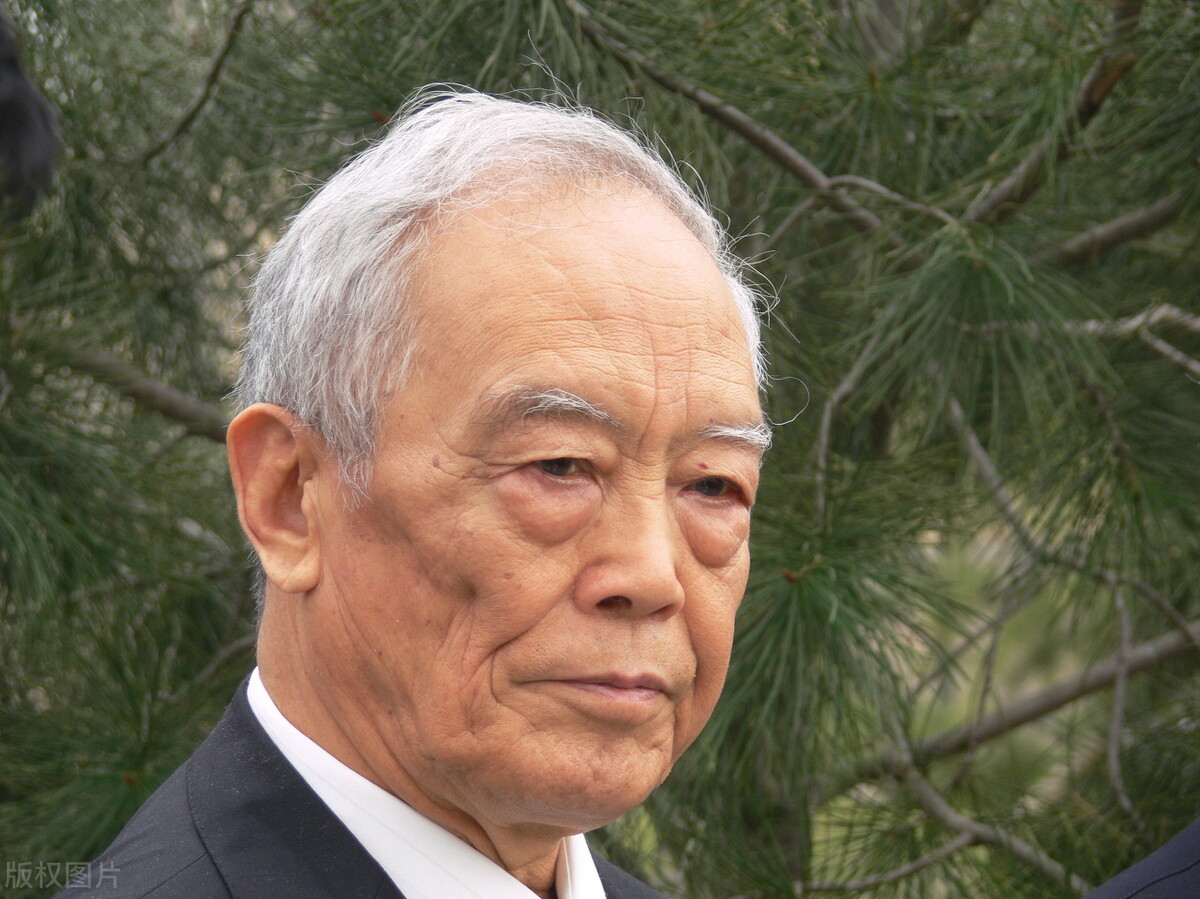 季羡林故居被盗案宣判,季羡林文物被盗审判视频