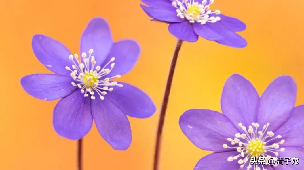 刚毕业大学生是租房还是首付买房,刚刚毕业的大学生该怎么创业