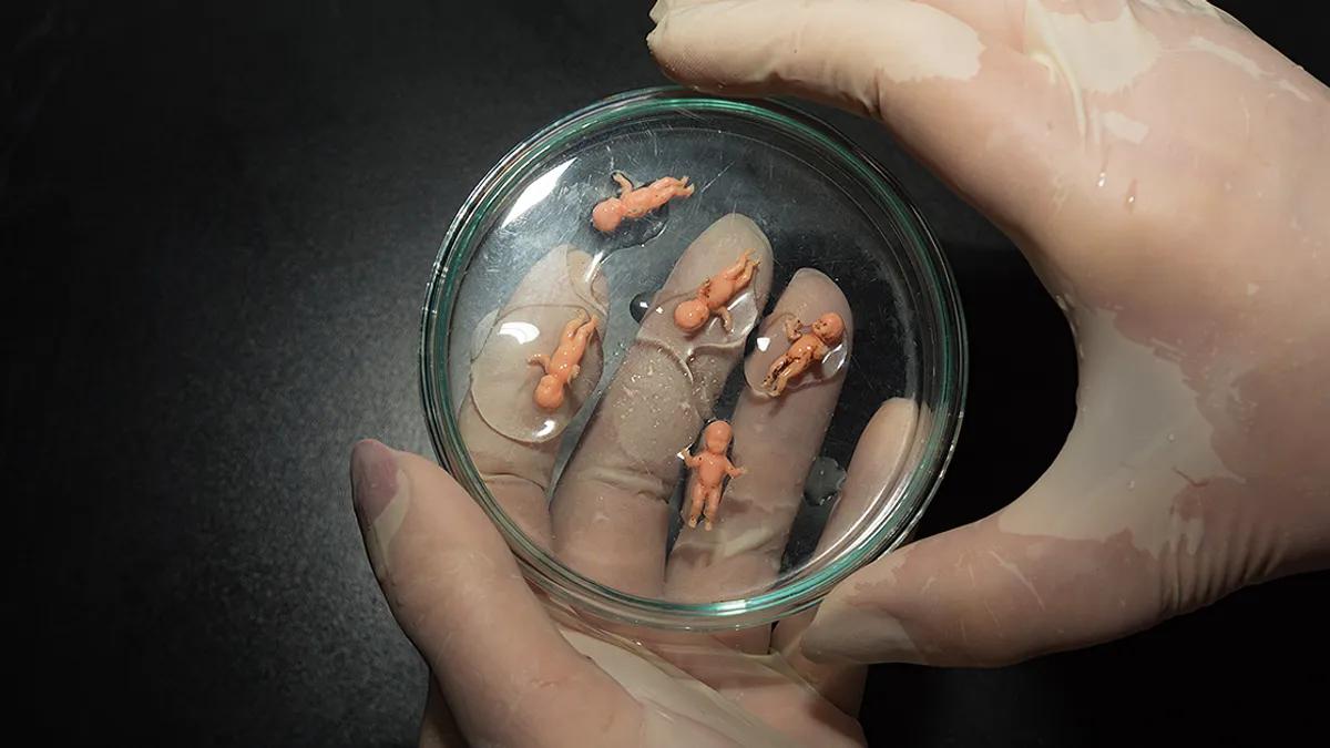 精子战争：生物史中最残酷的大逃杀，每个人都是亿里挑一的幸运儿