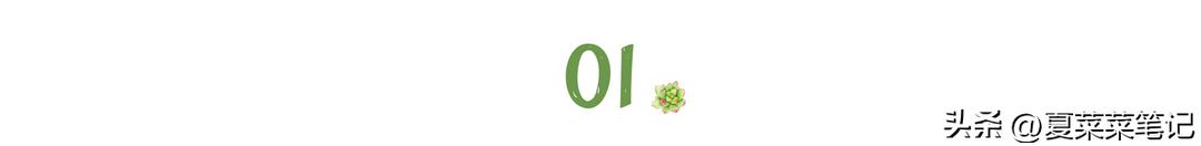 怎样做微头条才有收入,如何做微头条赚钱