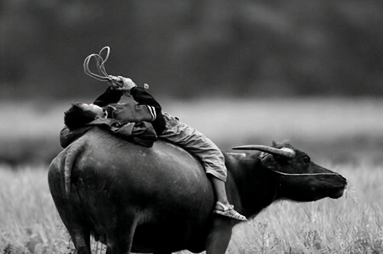 放牛娃捡到一枚古钱币,小伙捡了一千多钱一看原来是冥币