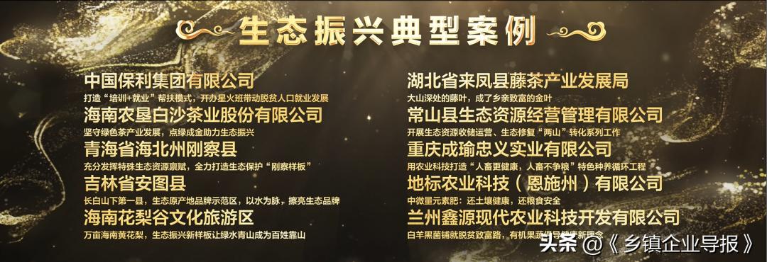 乡村振兴赋能计划人才典型案例,乡村振兴之文化振兴案例