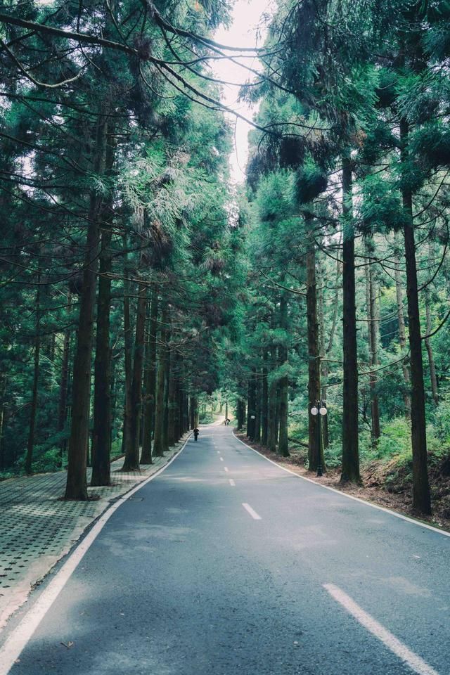 十年前带老妈出游,十年前带娃和十年后带娃