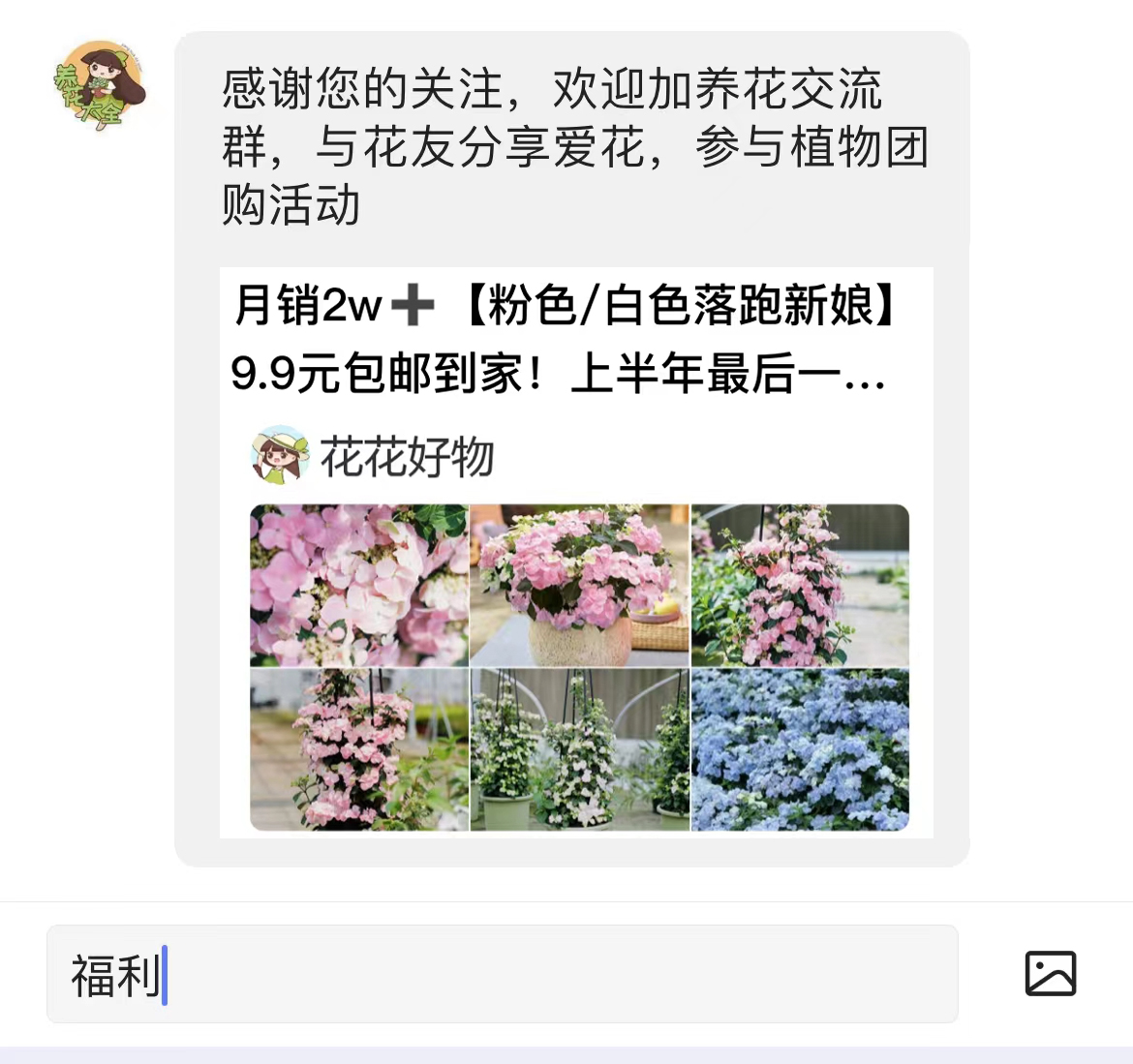 花叶子变黄什么原因,花叶子发黄什么原因造成