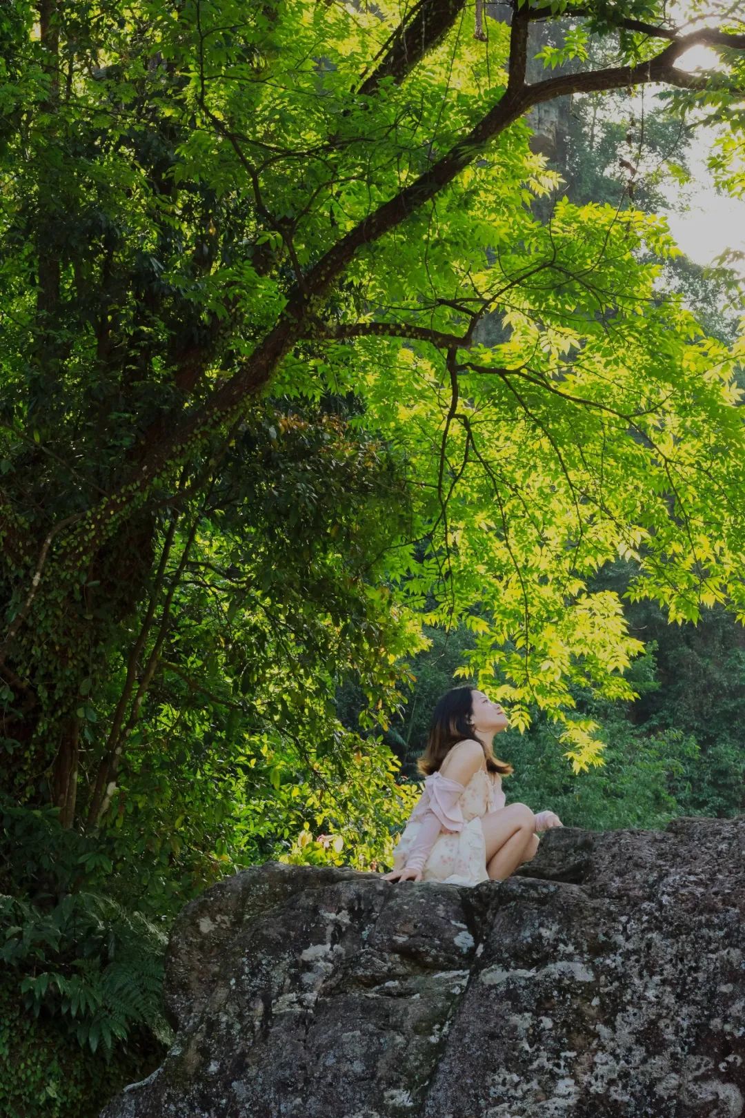 猫咪走太空步原视频最火,猫咪壁虎漫步视频